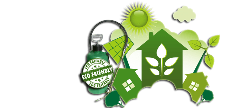 natural green environment friendly EPA pest control services, McLean, alexandria, Fairfax, woodbridge, northern virginia