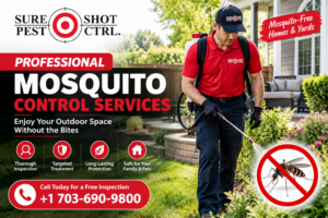 Mosquito Control Services