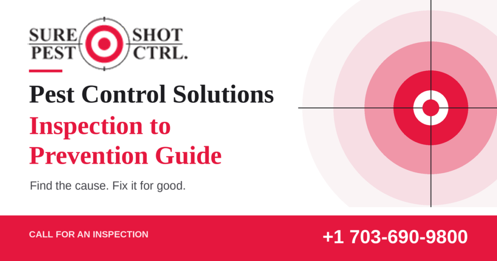 Pest Control Solutions